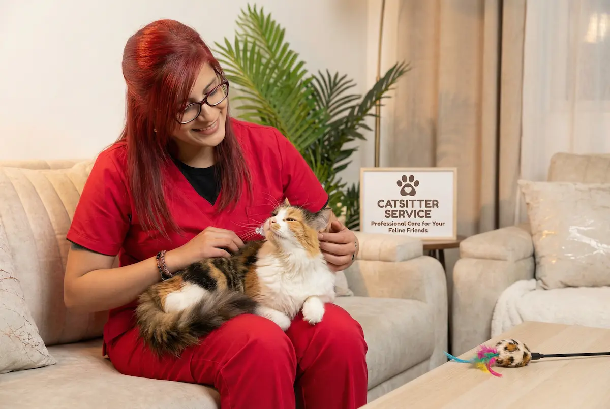 Gato cuidado por un catsitter